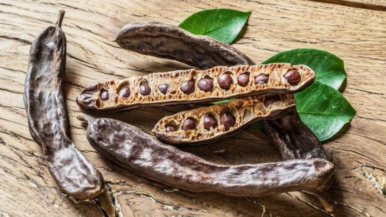 KİLO VERMEYE YARDIM: Keçiboynuzu tozu nedir ve ne işe yarar? Keçiboynuzu tozunun faydaları nelerdir?