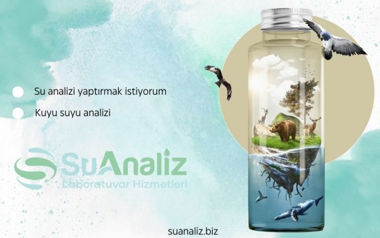 Su Analizi Yaptırmak İstiyorum – Nereden Başlamalıyım?