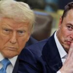 Musk Trump ile Lancies Köprüleri: Rahatsız edici bir tiksinti