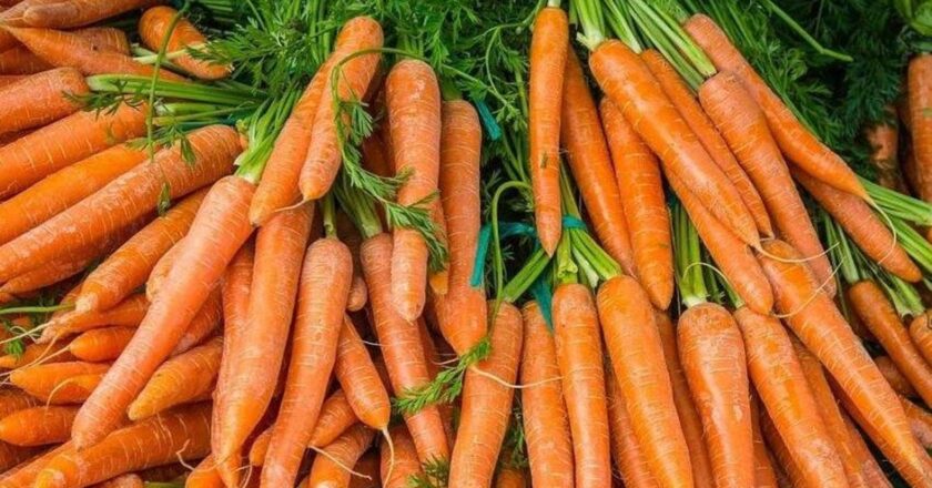 Dolu Tutun: Havuç kilo alımı yapıyor mu? Havuç ağırlık yaratıyor mu?