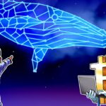 On iki yıldır sabırlı olan Balina, 116 milyon dolarlık bitcoin geliştirdi