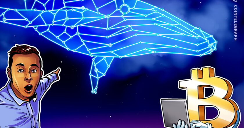 On iki yıldır sabırlı olan Balina, 116 milyon dolarlık bitcoin geliştirdi