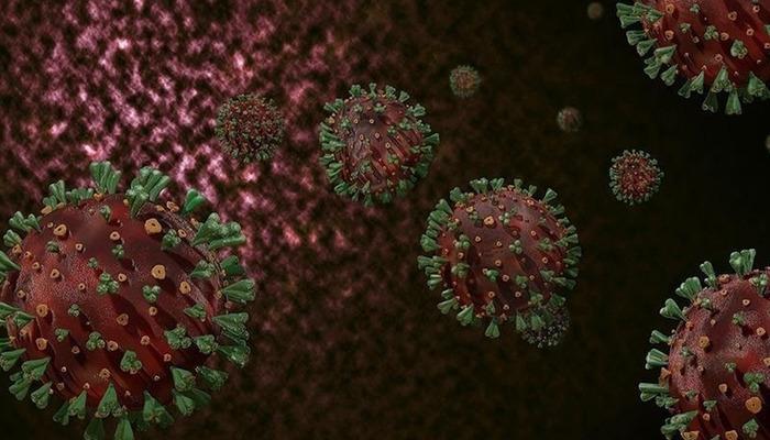 M çiçek virüsü Gana'da yayılıyor! Vaka sayısı 500'ü aştı