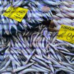 Hava Soğudu, Hamsi Tezgahları İlgi Odağı Oldu!