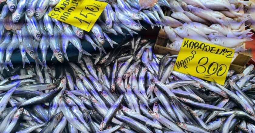 Hava Soğudu, Hamsi Tezgahları İlgi Odağı Oldu!